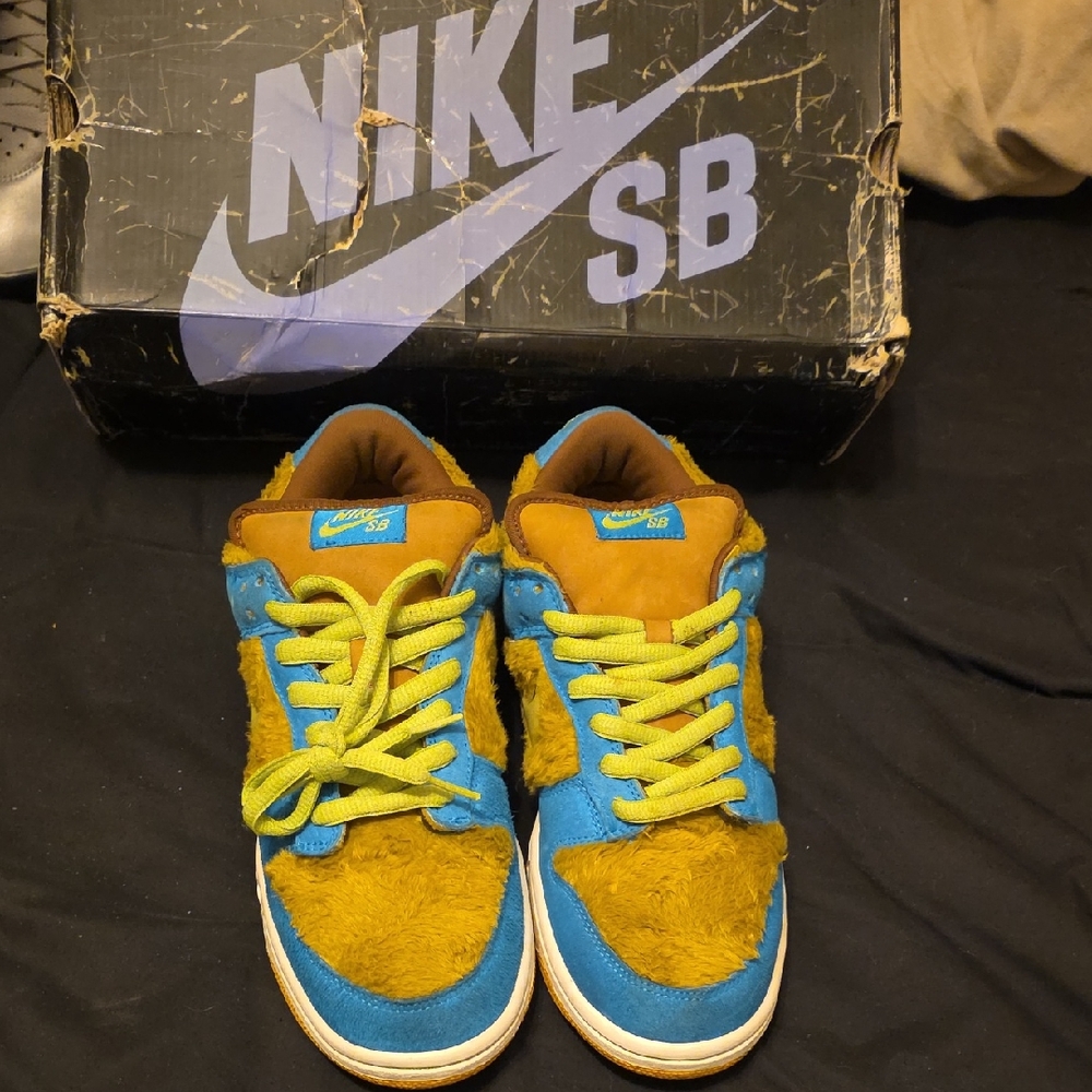 Nike SB Low Top Sneakers in Blue and Brown